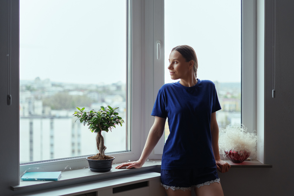 La Crosse Window Styles